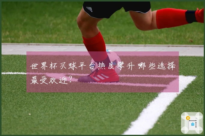 世界杯买球平台热度攀升 哪些选择最受欢迎？