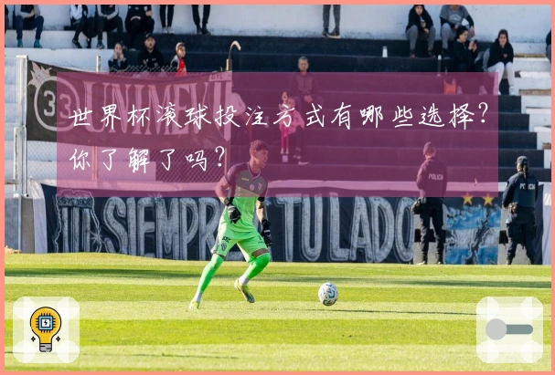 世界杯滚球投注方式有哪些选择？你了解了吗？